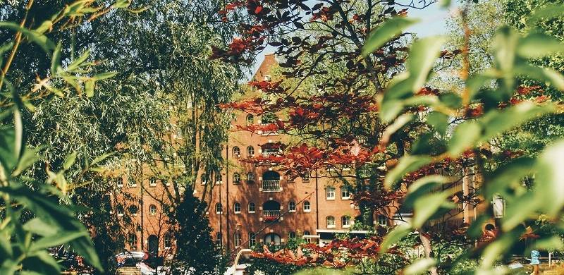 Typical Amsterdam architecture during a walking tour